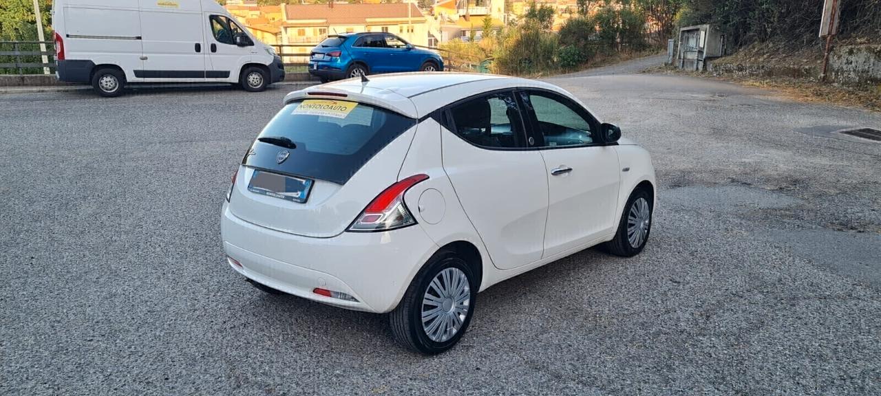 Lancia Ypsilon 1.2 69 CV 5p GPL Ecochic - 2016