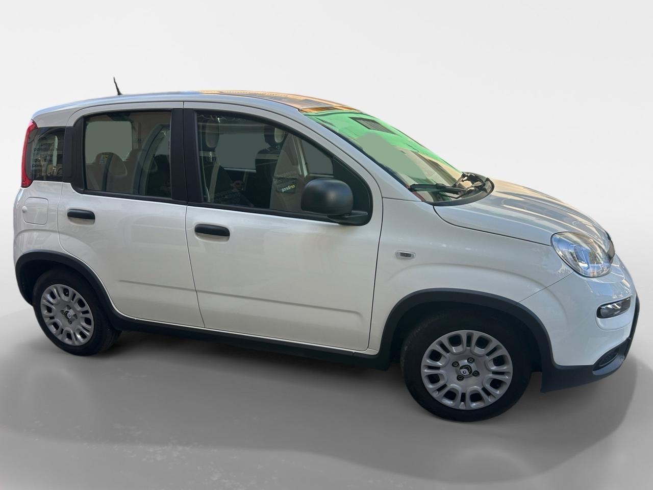 Fiat Panda 1.0 FireFly S&S Hybrid Pandina
