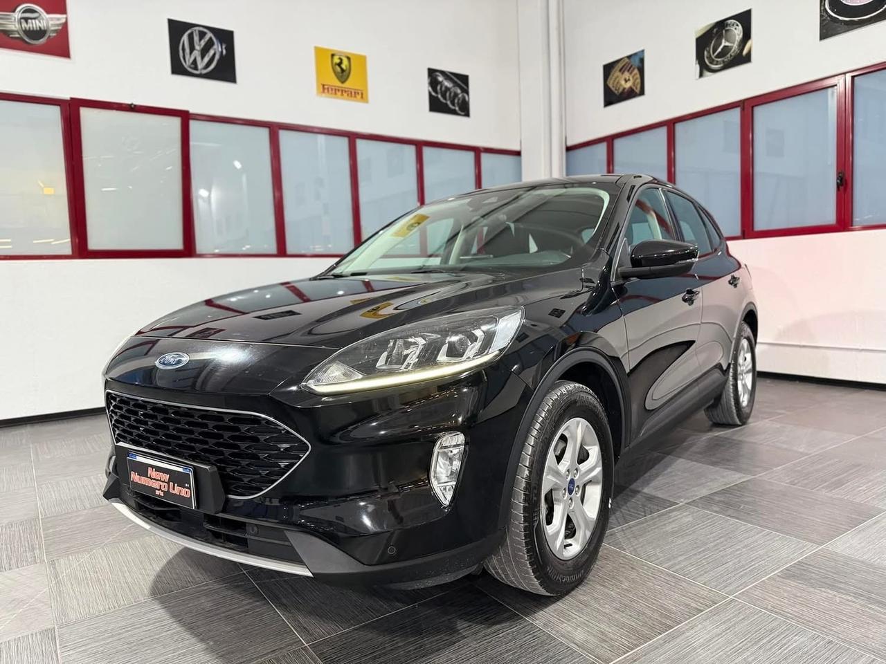Ford Kuga 1.5 Ecoblue Titanium 120cv Autom2021