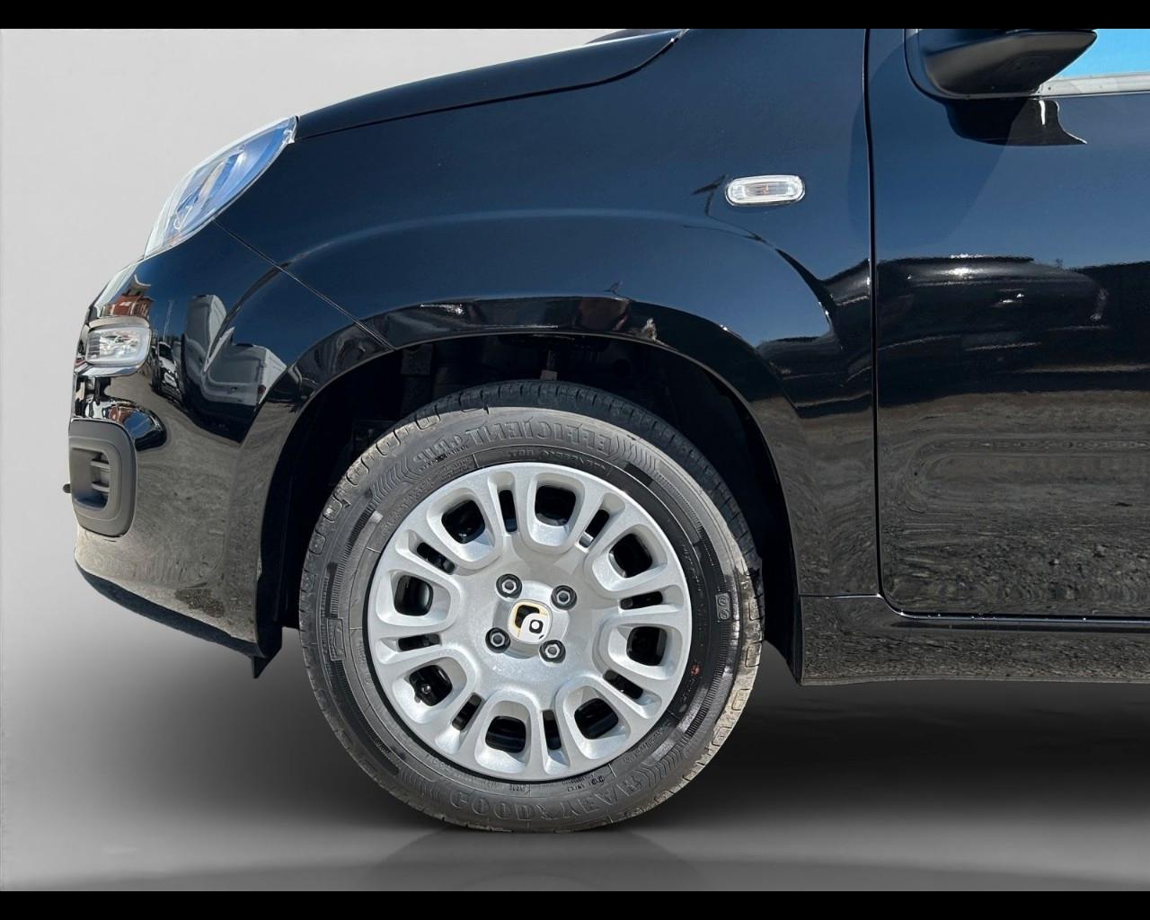 FIAT Panda My25 1.0 70cv Hybrid Panda