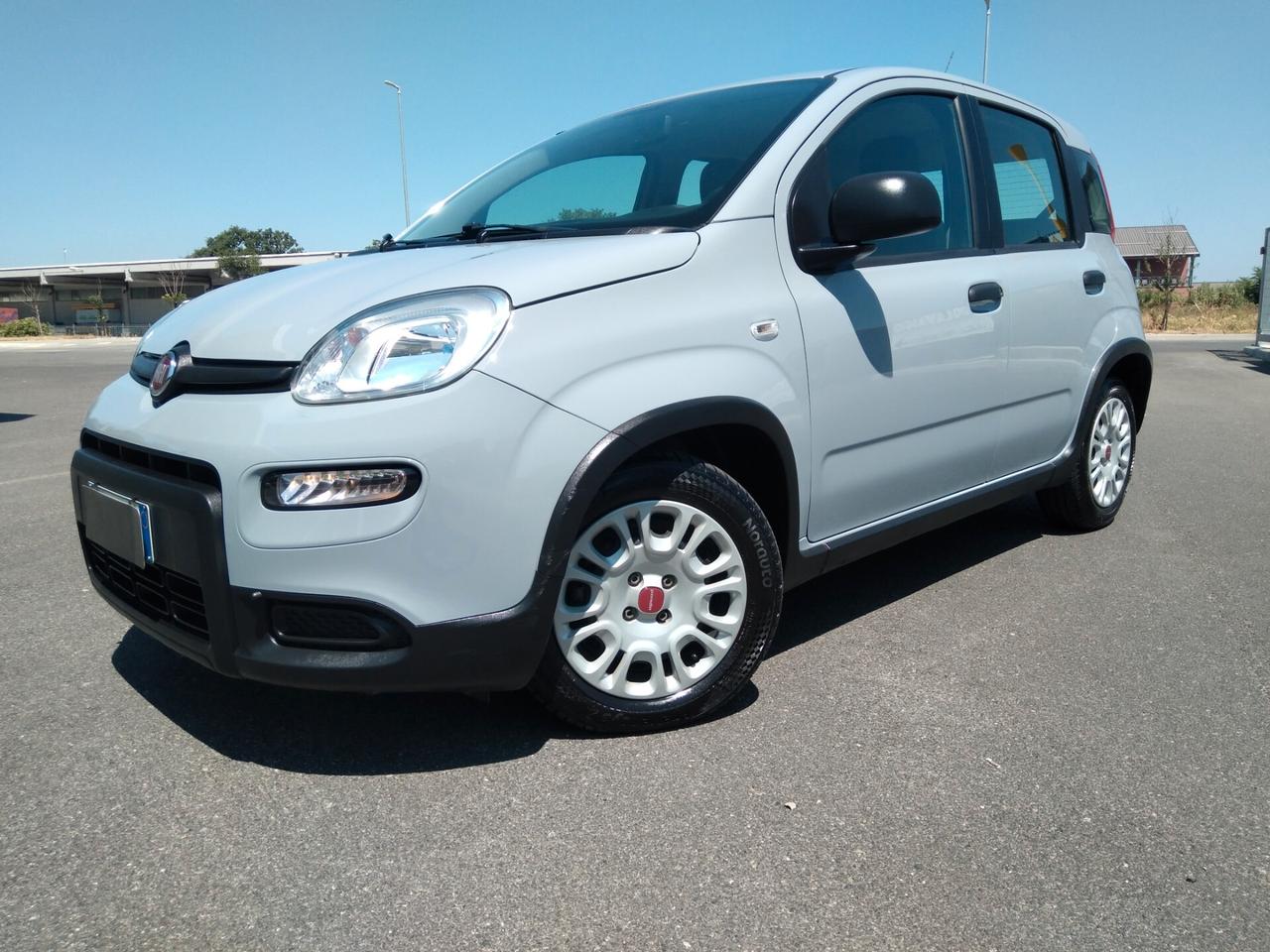 Fiat Panda 1.0 70cv FireFly S&S Hybrid x neopatentati