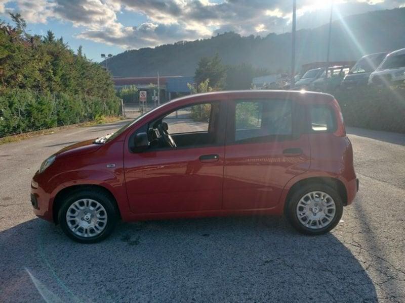 FIAT Panda Panda 1.0 FireFly S&S Hybrid Icon, 5 posti e stereo Bluetooth con comandi al volante! GPL!!