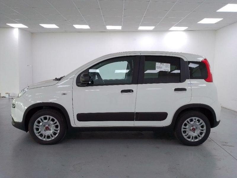 FIAT Panda van 1.0 hybrid 70cv 4p.ti serie 6