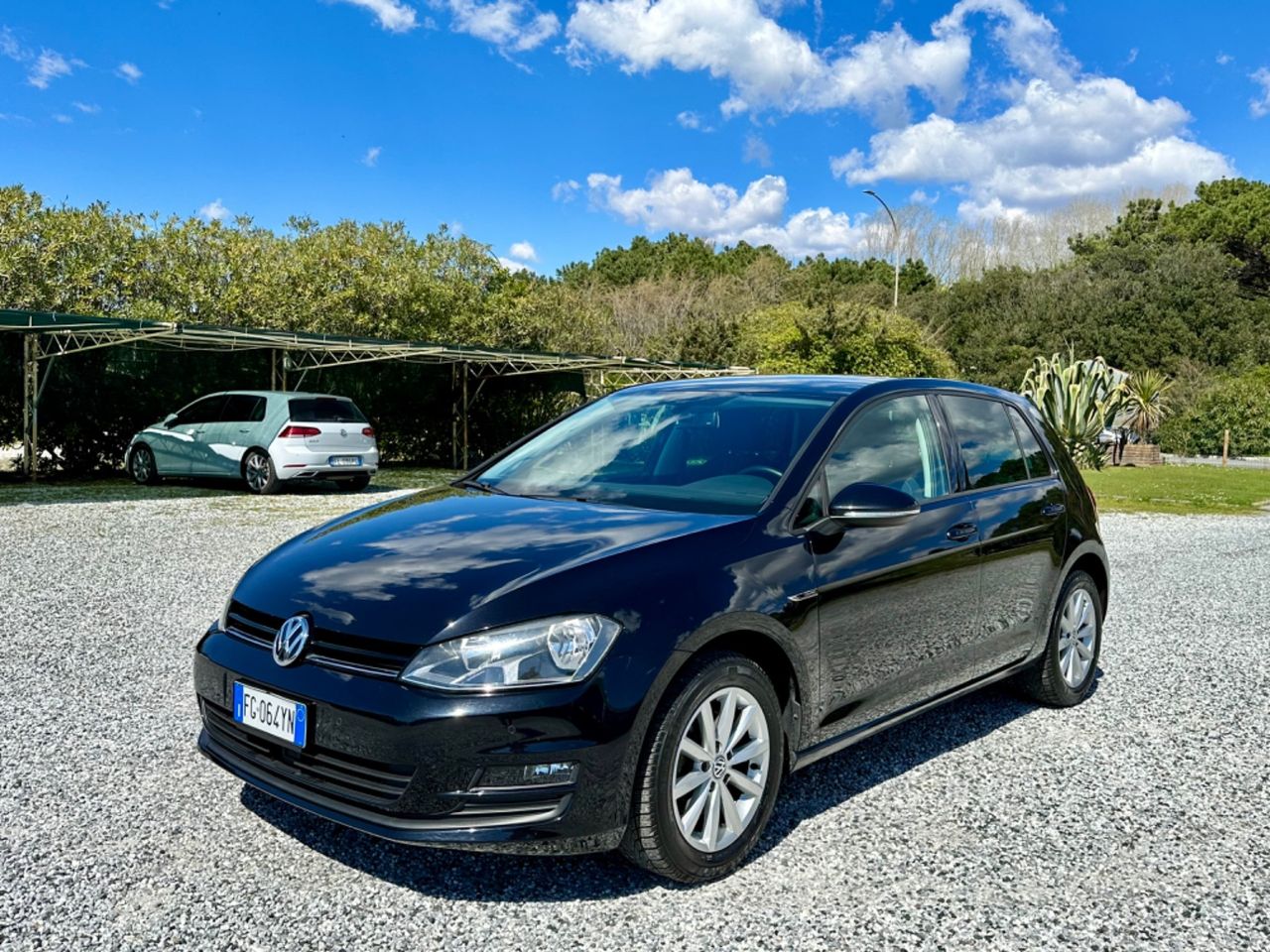 Volkswagen Golf 1.6 TDI 110 CV 5p. Comfortline BlueMotion Technology