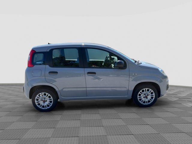 FIAT Panda Panda 1.2 69cv E6 POP