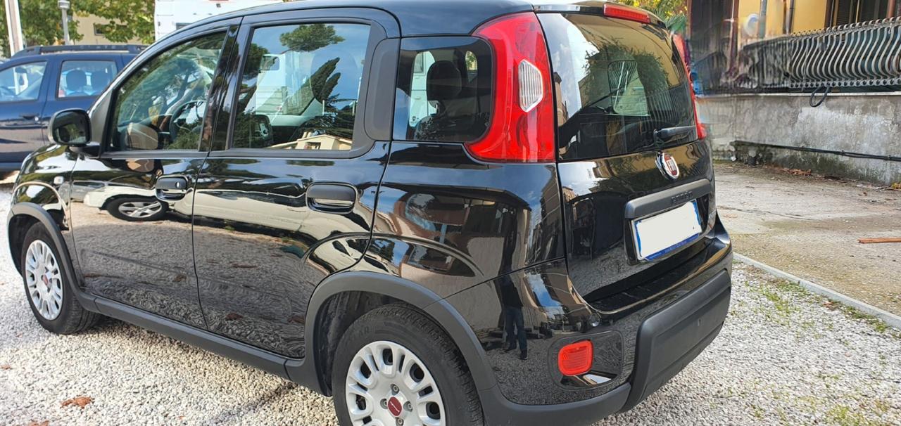 Fiat Panda 1.0 Hybrid TRATTABILE
