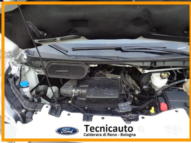 FORD Transit 350 2.0TDCi EcoBlue 170CV PL-TA VAN Trend