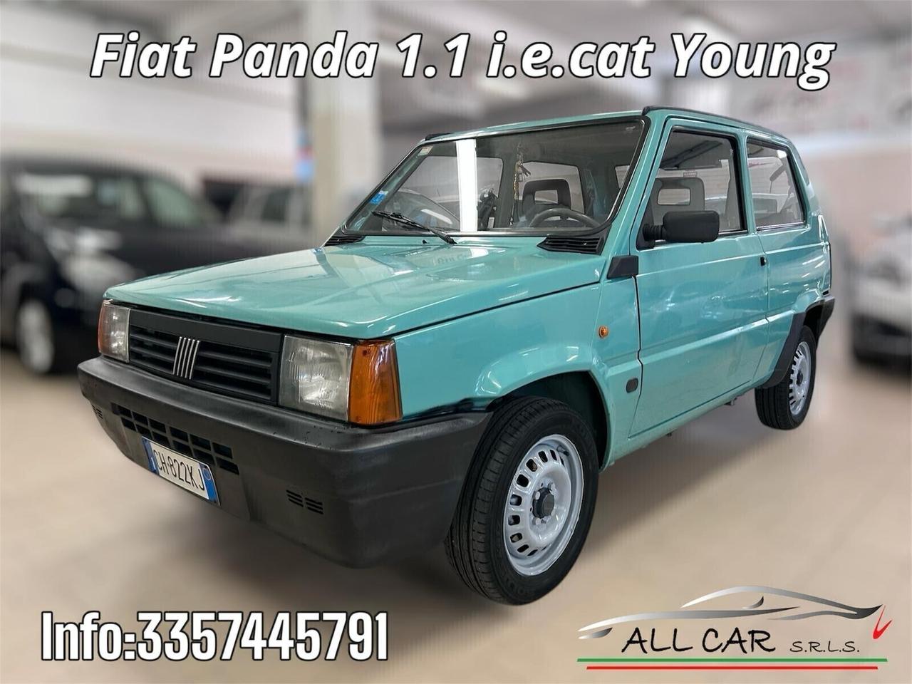 Fiat Panda 1100 i.e. cat Young 40 KW