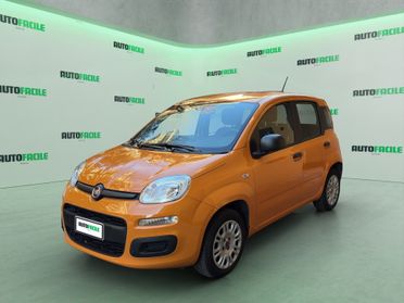 Fiat Panda 1.2 Easy I UNICO PROPRIETARIO I