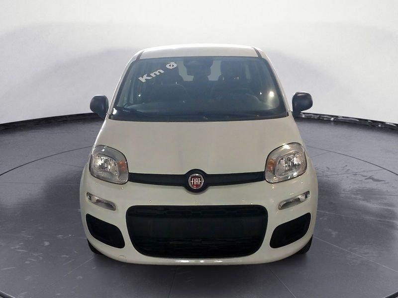FIAT Panda NEW My25 1.0 70cv Hybrid Panda