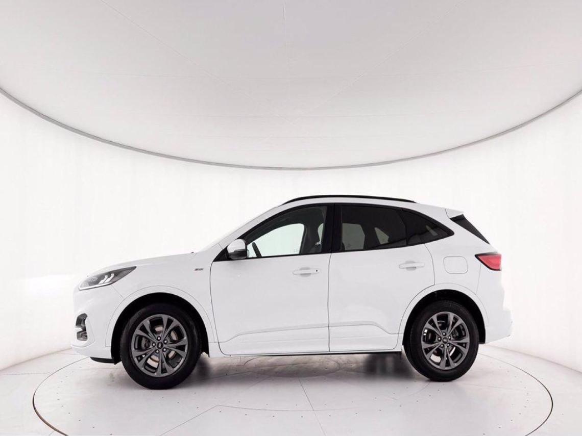 FORD Kuga 1 5 ecoblue st line 2wd 120cv auto