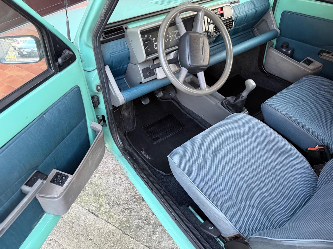 Fiat Panda 900 i.e. cat Young