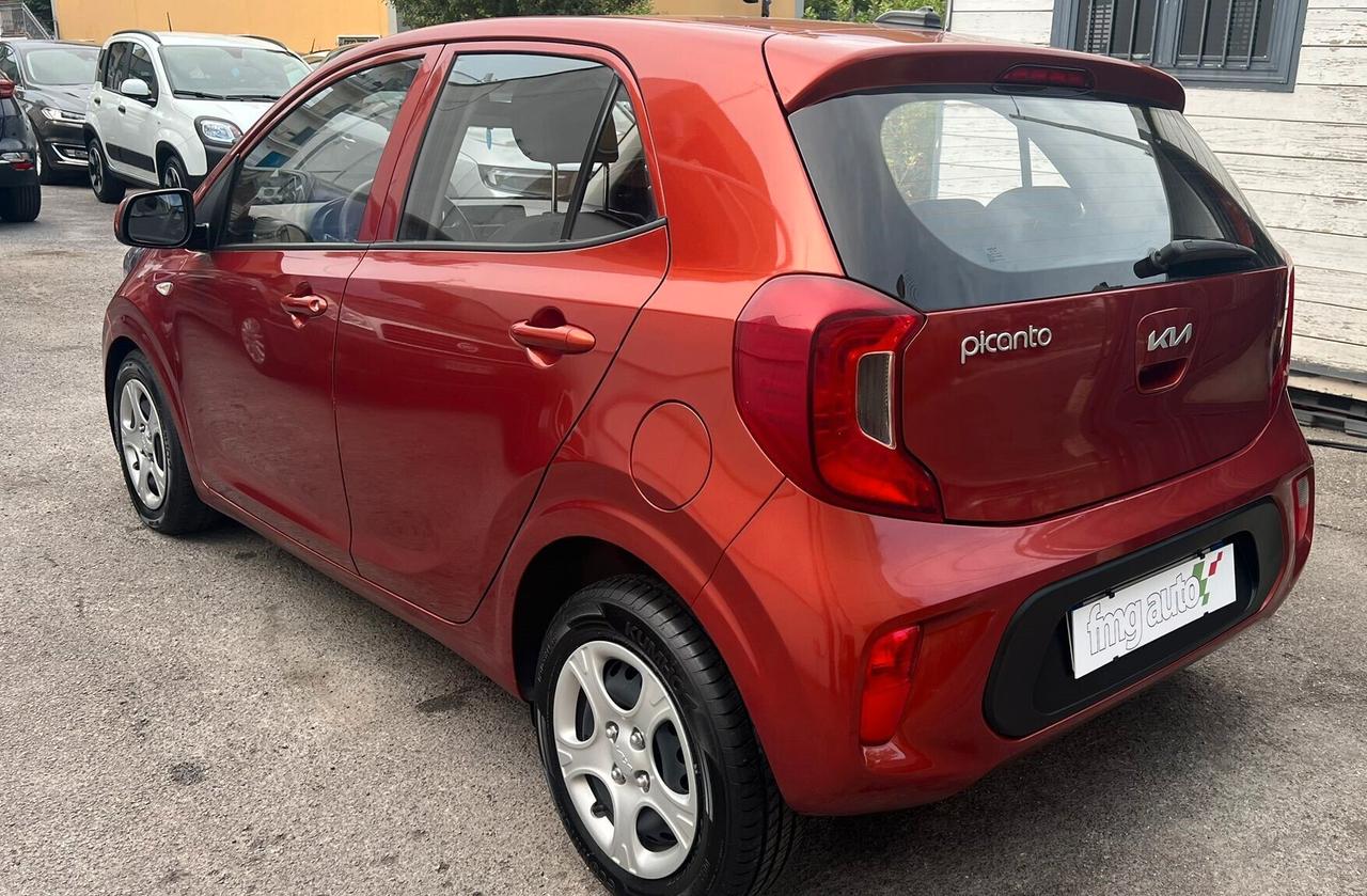 Kia Picanto 1.0 12V 5 porte Urban
