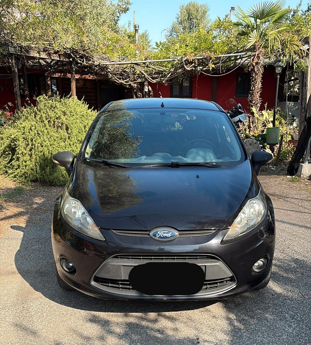 Ford Fiesta 1.4 TDCi 70CV 3 porte Van