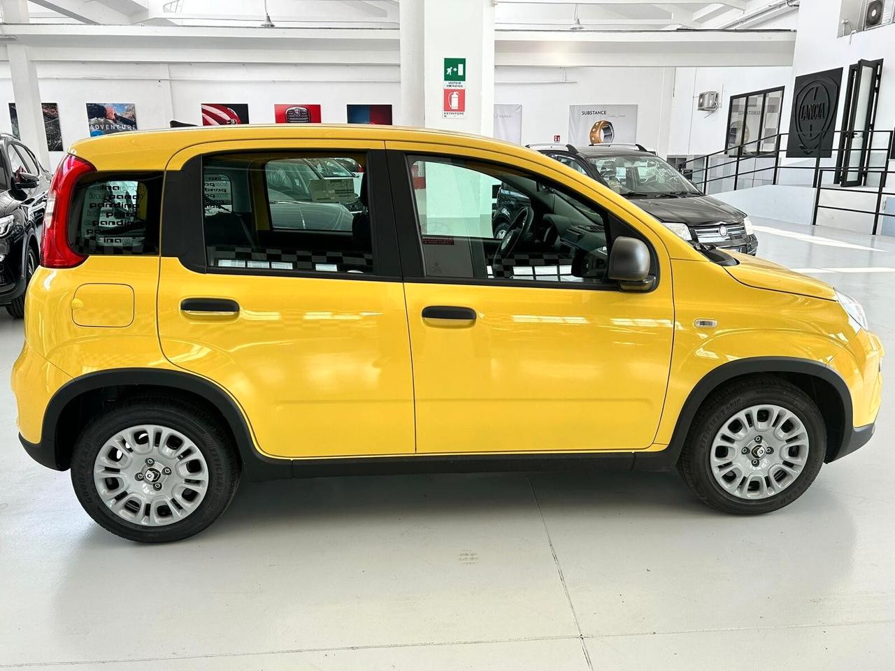 FIAT Panda 3ª serie Panda 1.0 FireFly S&S Hybrid