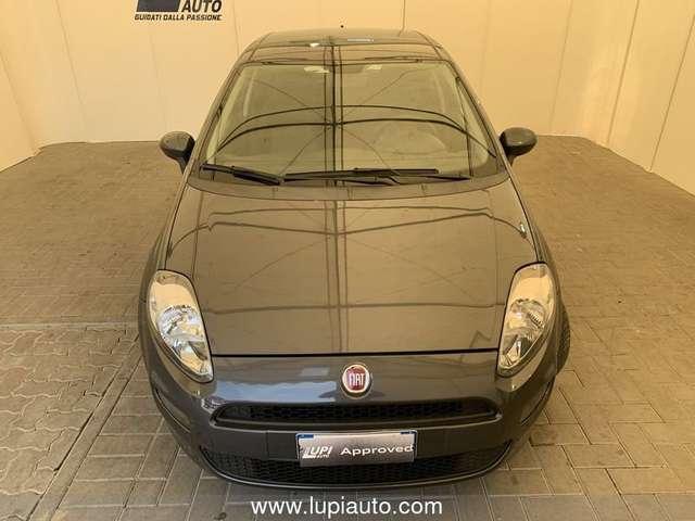 Fiat Punto Fiat Punto Adatta ai neo Patentati