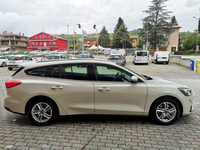 FORD Focus 1.5 EcoBlue 120 CV automatico SW Business Co-Pilot