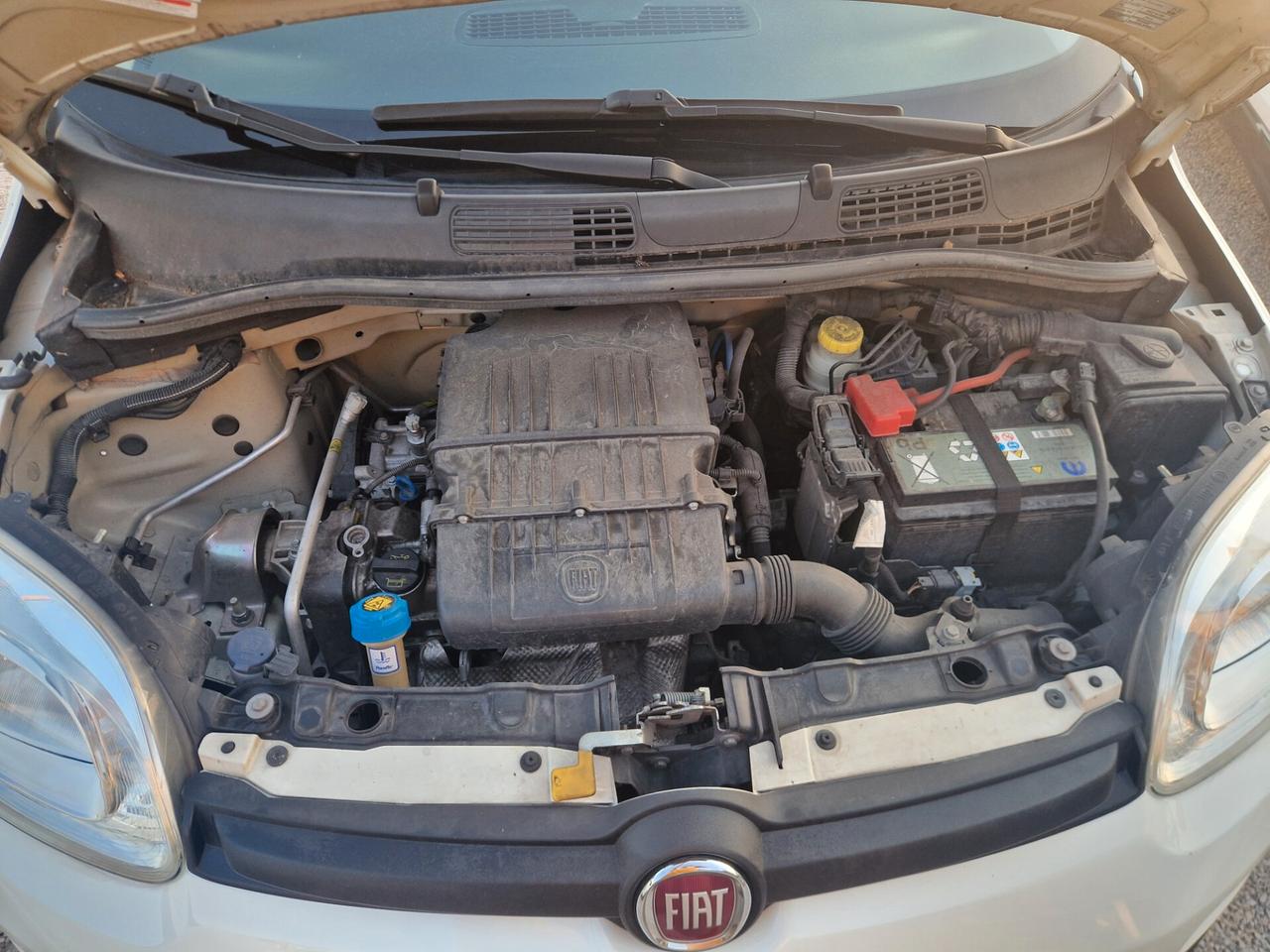 Fiat Panda 1.2 Benzina Lounge -2020