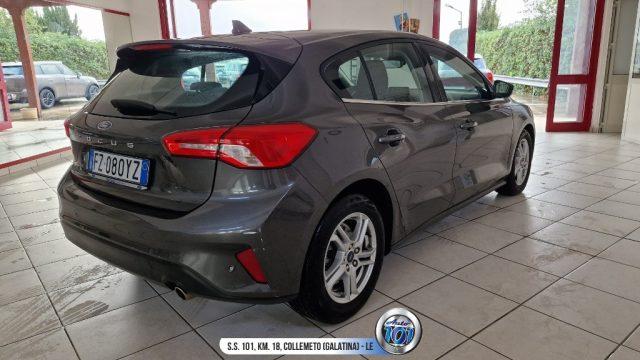 FORD Focus 1.5 EcoBlue 120 CV 5p. Business