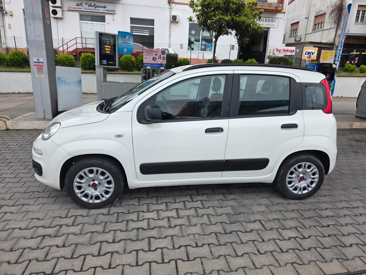 Fiat Panda Neo patentati 1.2 benzina