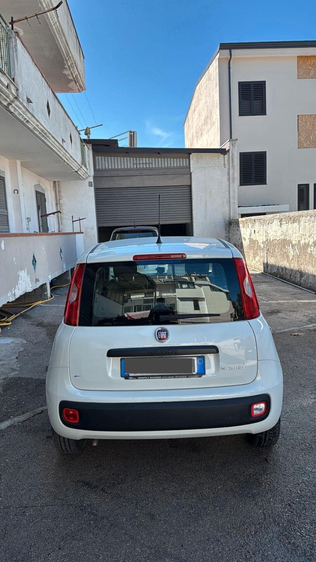 Fiat Panda 1.0 FireFly S&S Hybrid Elettrica - Benzina