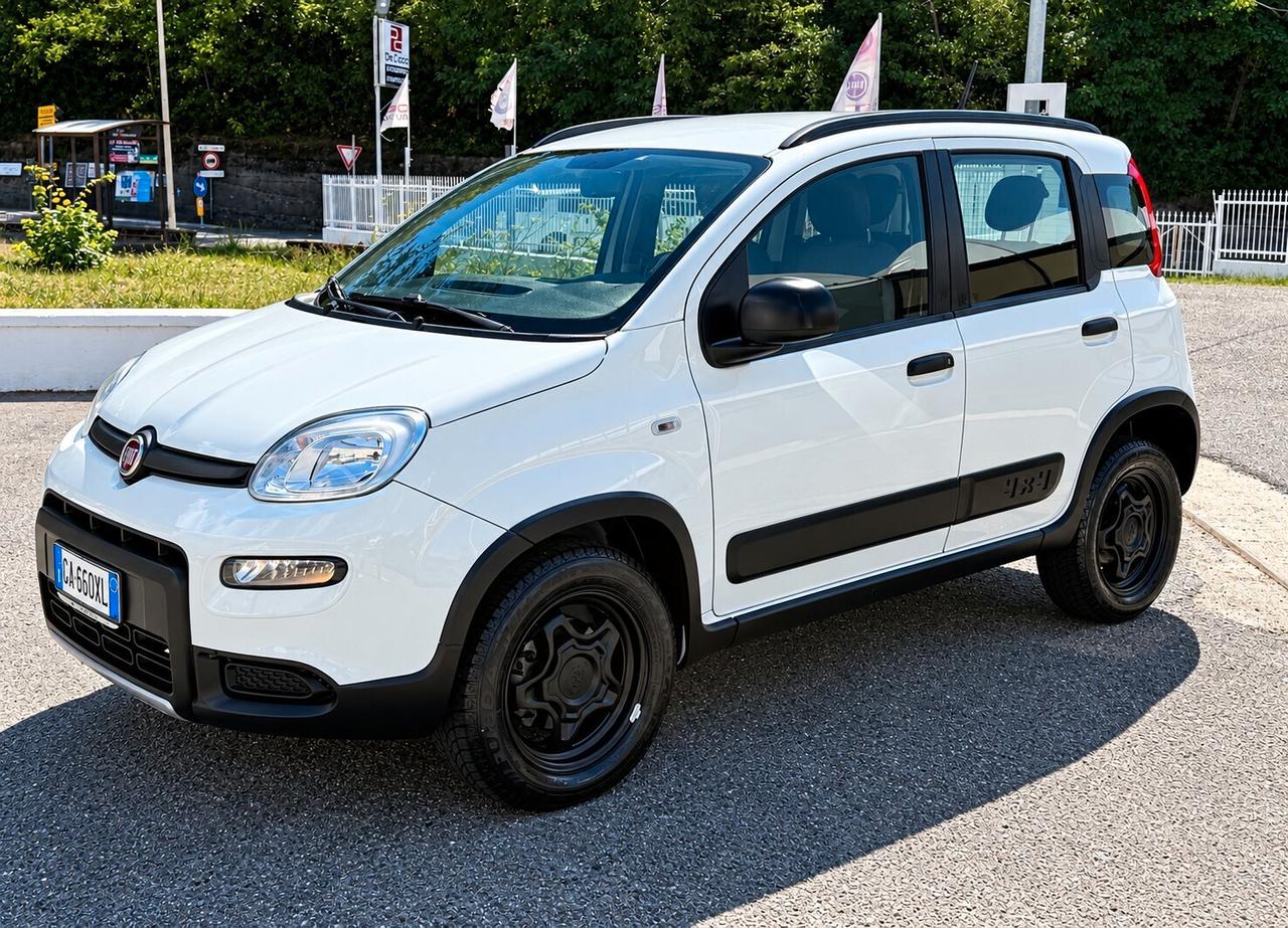 Fiat Panda 0.9 TwinAir Turbo S&S 4x4