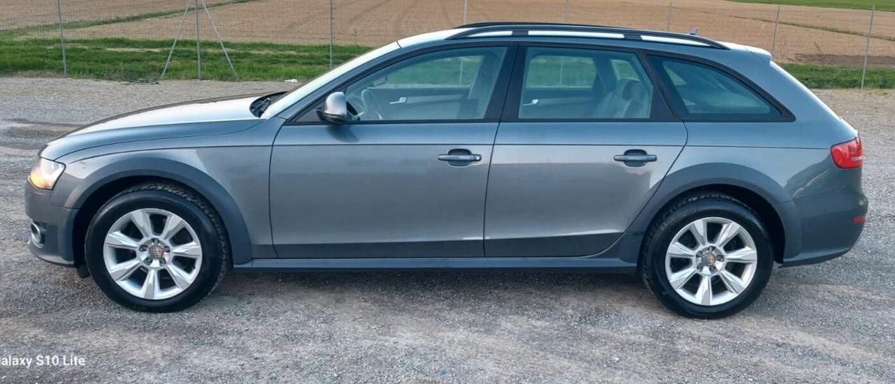 Audi A4 allroad A4 allroad 2.0 TDI 177 CV Business Plus
