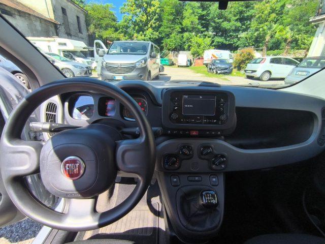 FIAT Panda 1.0 FireFly S&S Hybrid City Life ADATTA A NEO.