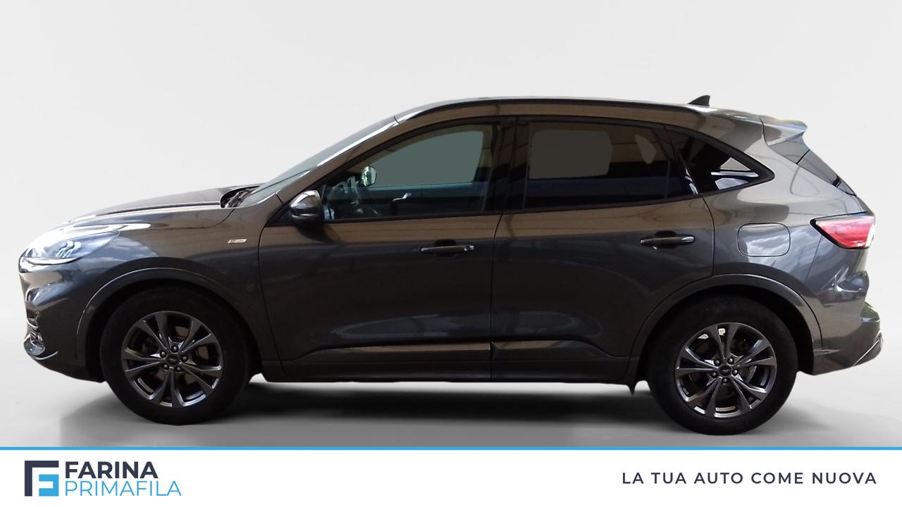 FORD Kuga III 2020 - Kuga 1.5 ecoblue ST-Line 2wd 120cv