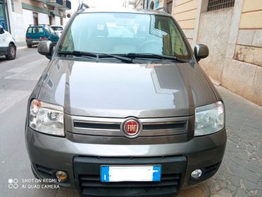 Fiat Panda 1.3 MJT 16V DPF 4x4 Climbing