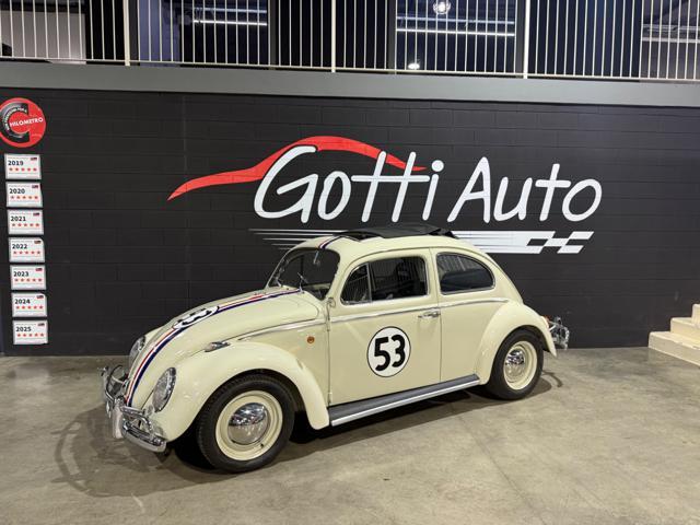 VOLKSWAGEN Maggiolino COMPLETAMENTE RESTAURATO