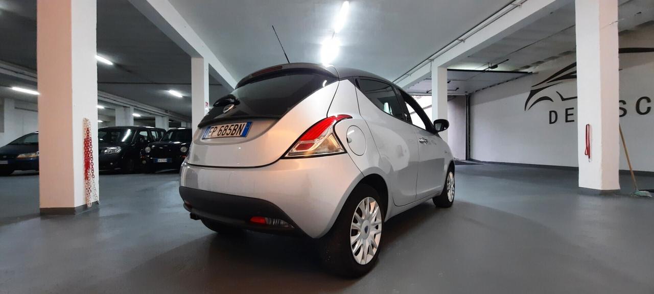 Lancia Ypsilon 1.2 69 CV 5 porte S&S Platinum