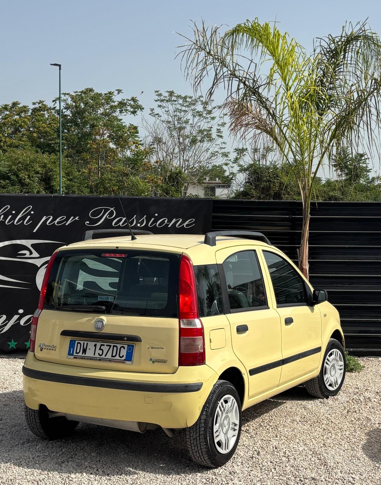 Fiat Panda 1.2 Climbing Natural Power
