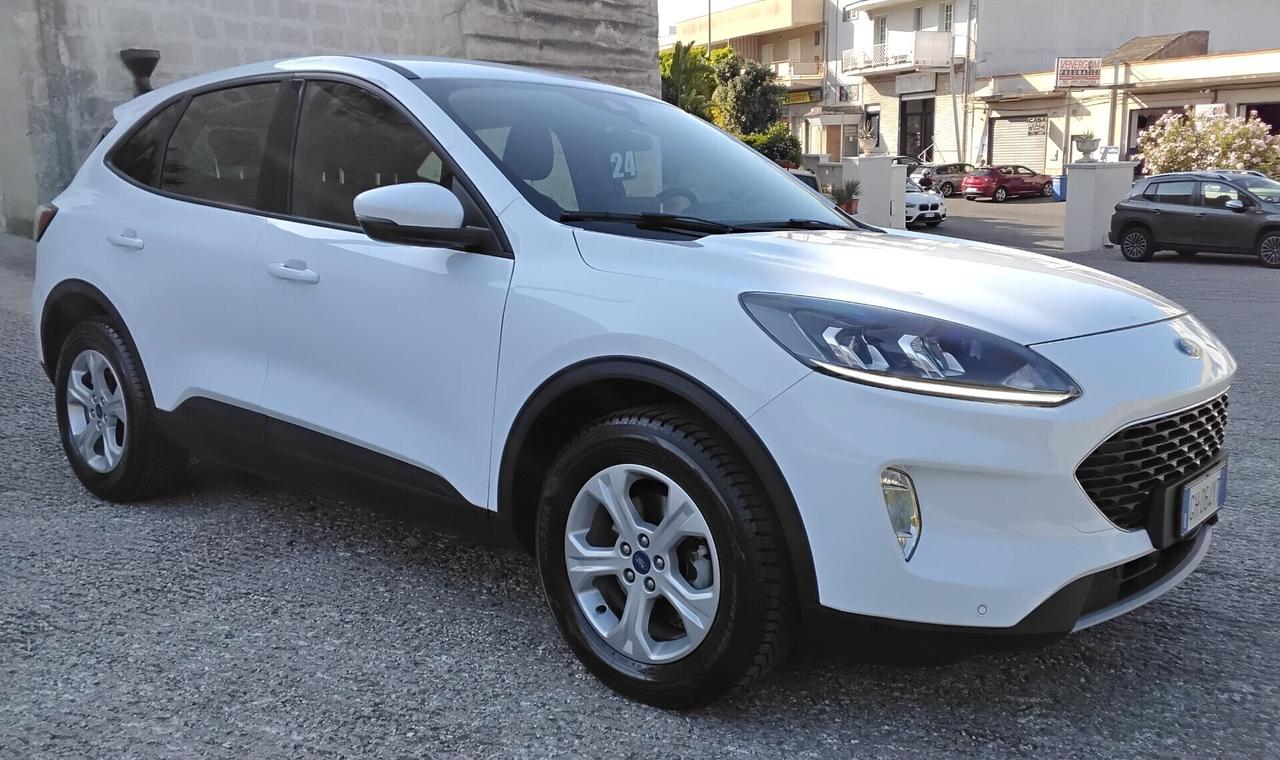 Ford Kuga 1.5 EcoBlue 120 CV 2WD Titanium