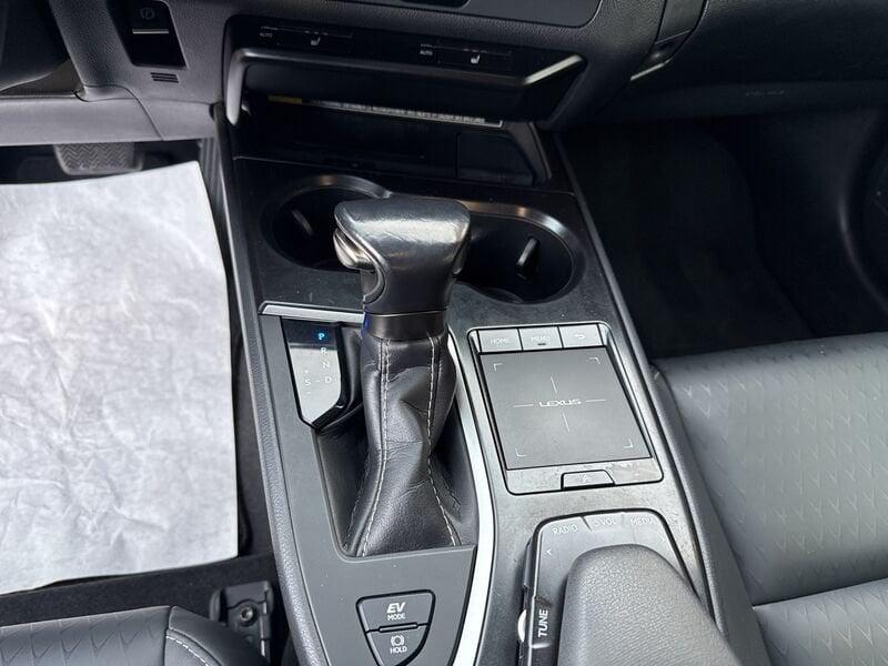 Lexus UX LEXUS UX 250 Hybrid 4WD Midnight