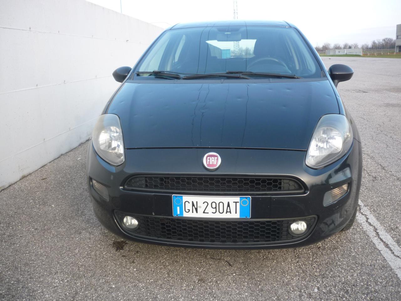 Fiat Punto 1.2 8V 5 porte Easy - Grandinata