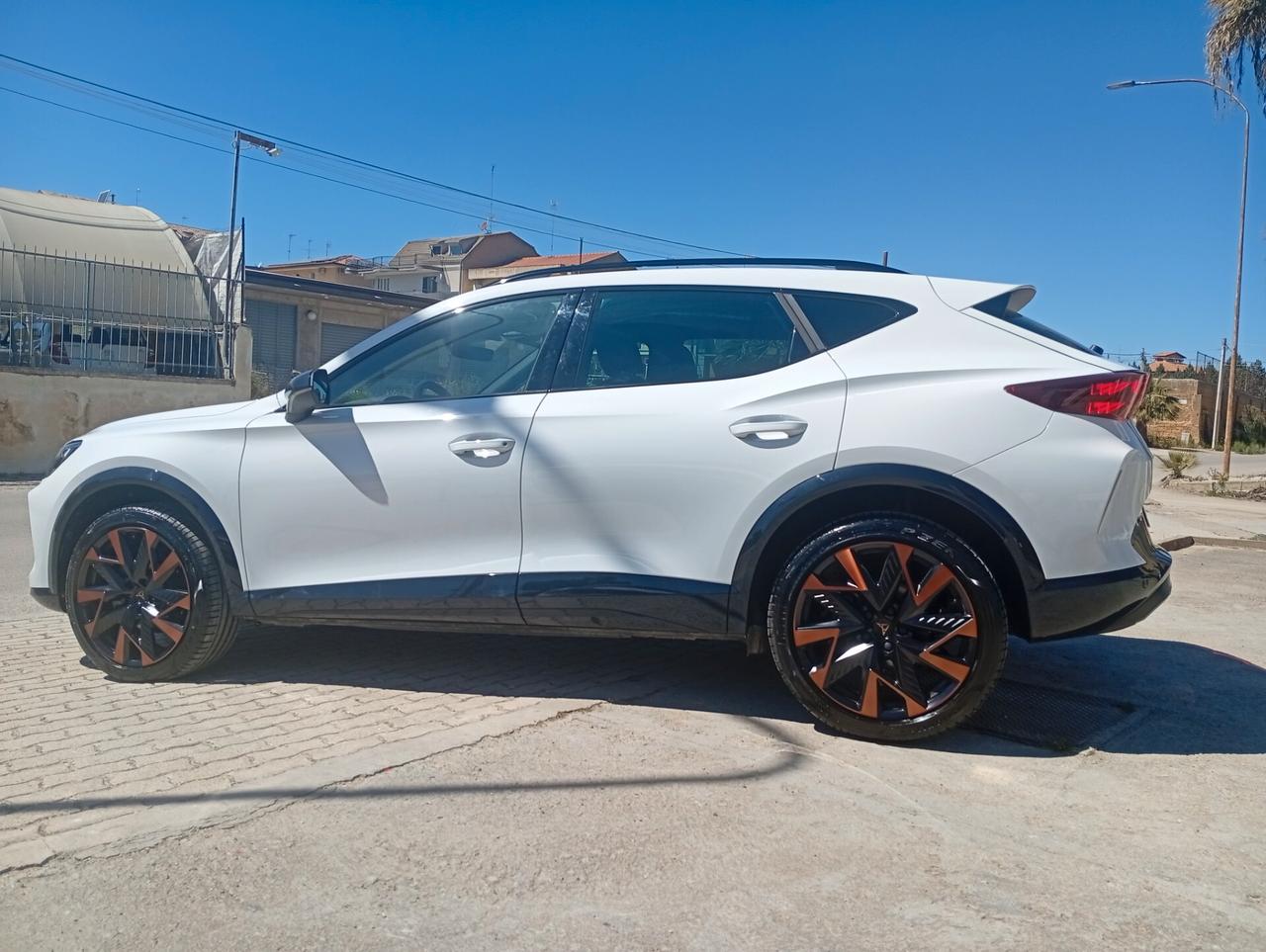 Cupra Formentor 2.0 TDI DSG