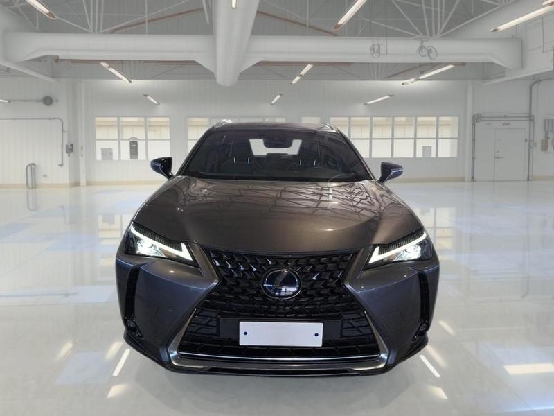 LEXUS UX 250h Hybrid Business