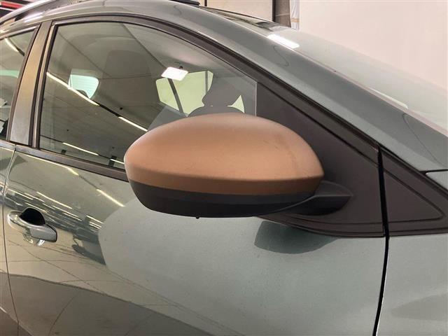 DACIA Sandero Stepway 1.0 tce Extreme Up 110cv