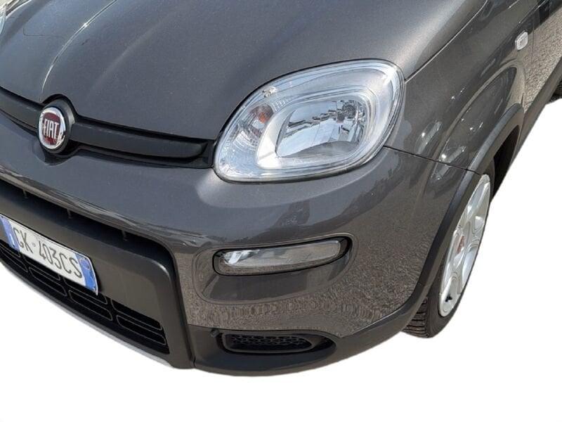 FIAT Panda Panda 1.0 firefly hybrid s&s 70cv
