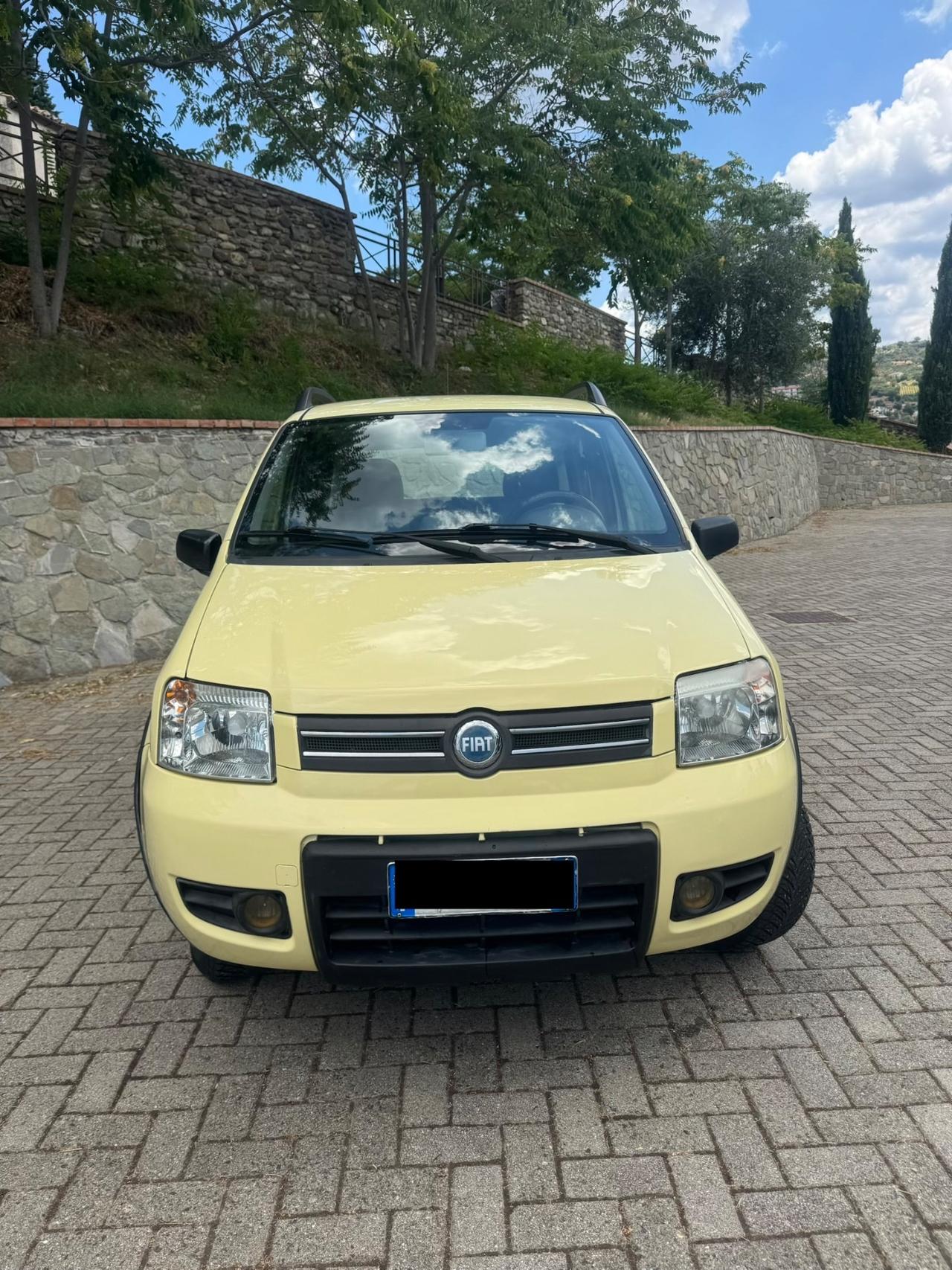 Fiat Panda 1.3 Multijet 75Cv 4X4 *CLIMBING* 2007