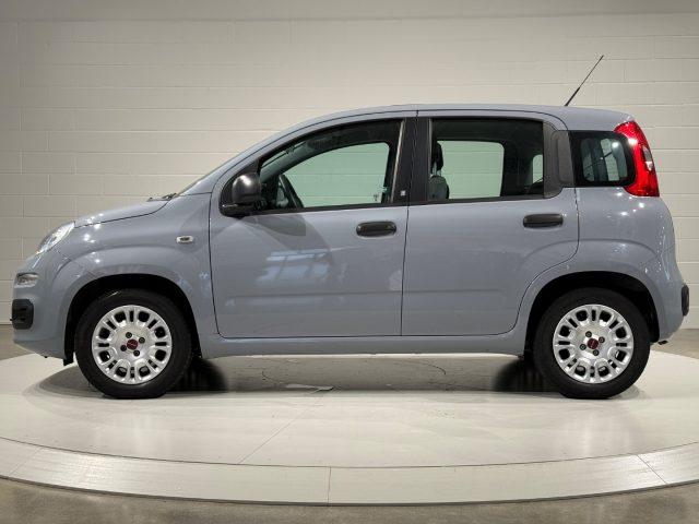FIAT Panda 1.2 GPL EasyPower NEOPATENTATI / PREZZO REALE