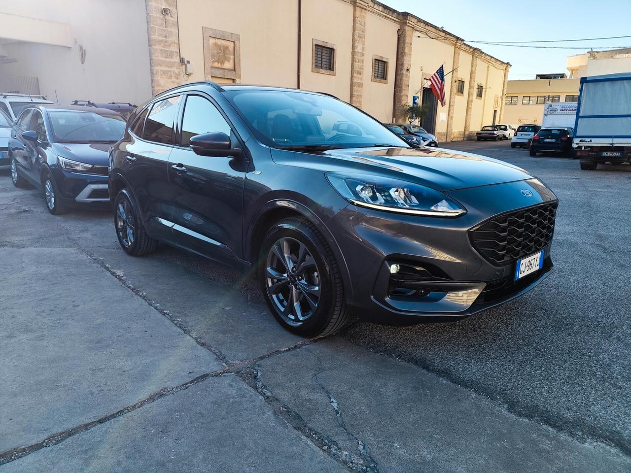 Ford Kuga 2.0 EcoBlue Hybrid 150 CV 2WD ST-Line
