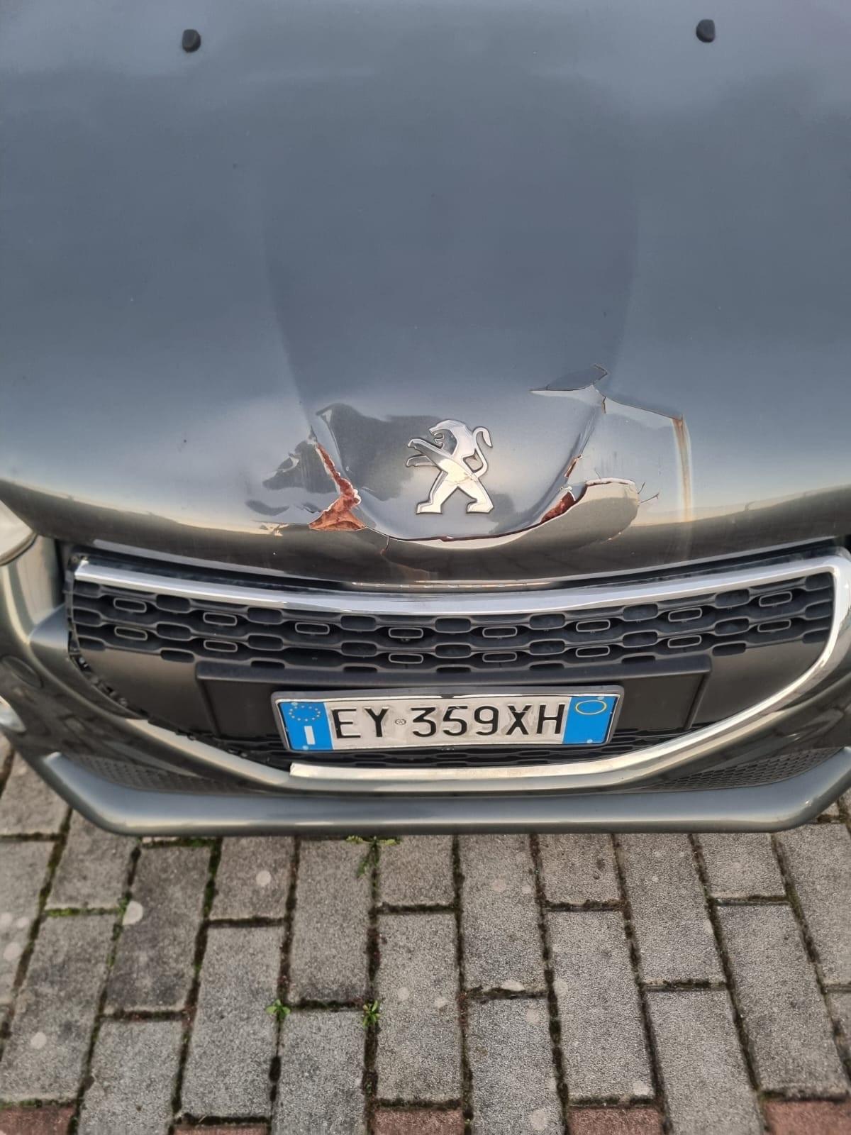 Peugeot 208 1.4 VTi 95 CV 5p. GPL Active