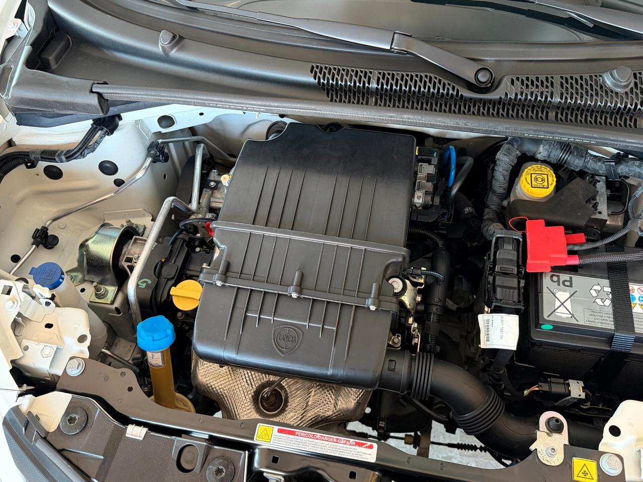 Lancia Ypsilon 1.2 69 cv. ELEFANTINO BLU