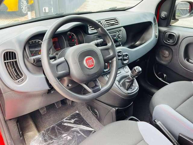 Fiat Panda Panda EASY 1.2 FIRE 4 CILINDRI PRONTA CONSEGNA