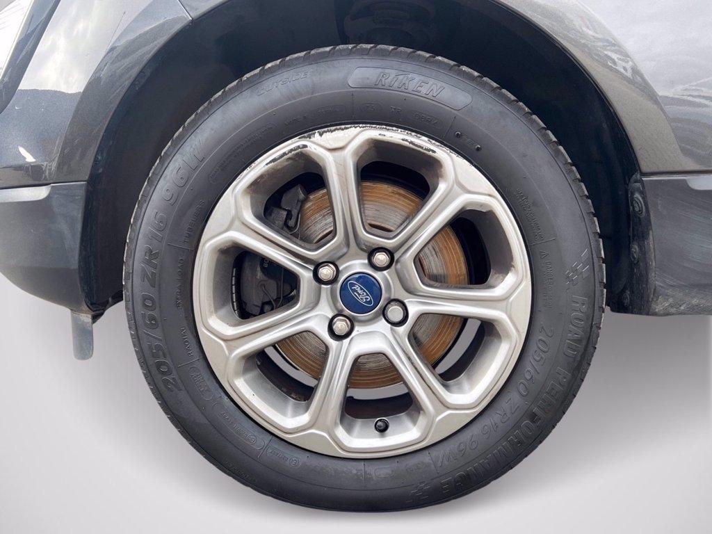 FORD EcoSport 1.0 ecoboost Plus 100cv del 2019