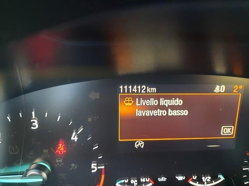 Ford Focus 1.5 EcoBlue 120 CV SW Business AUTOCARRO 5 POSTI