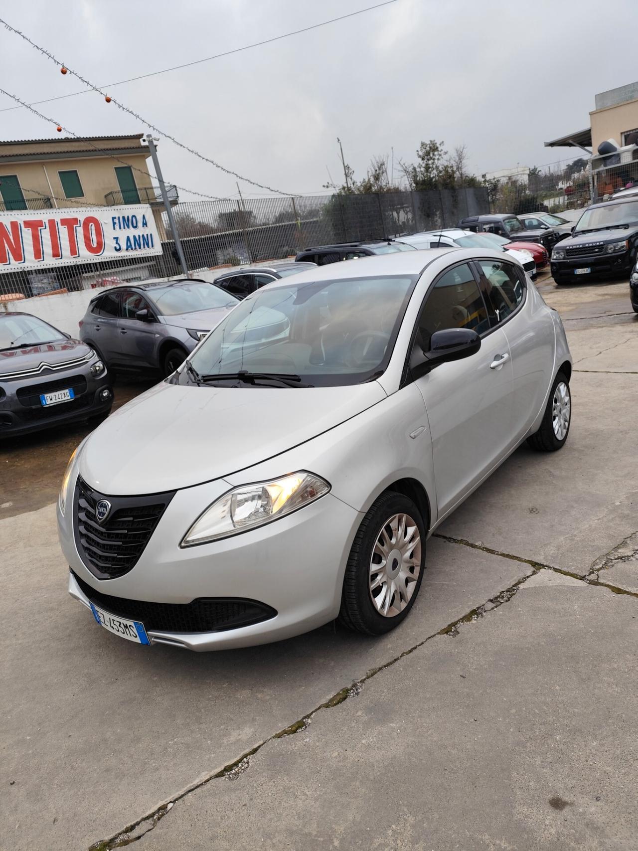 Lancia Ypsilon 1.2 69 CV 5 porte GPL Ecochic Elefantino