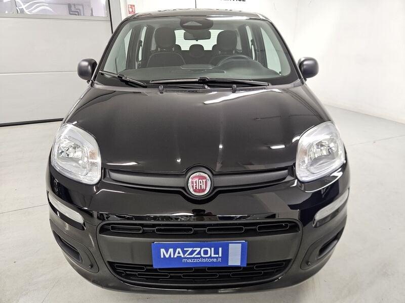 FIAT Pandina 1.0 firefly hybrid Icon s&s 65cv